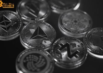 Đào coin – Chúng ta sẽ không thể thấy mùa Altcoin đến trong năm 2019 nữa?