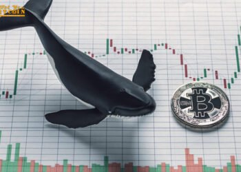 Đào coin – Theo dấu cá voi: 200 triệu USD giá trị Bitcoin đã được luân chuyển trong tuần