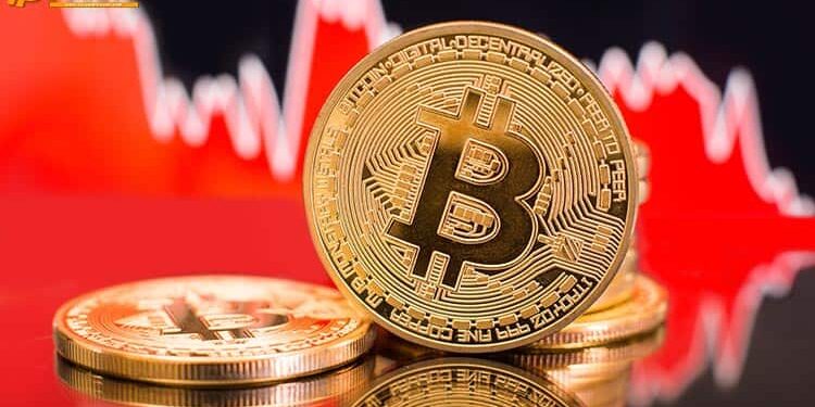 Đào coin – TokenAnalyst: Giá Bitcoin giảm không phải do dự án Ponzi Plus Token gây ra