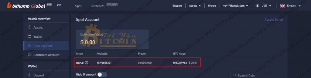 BUSD token