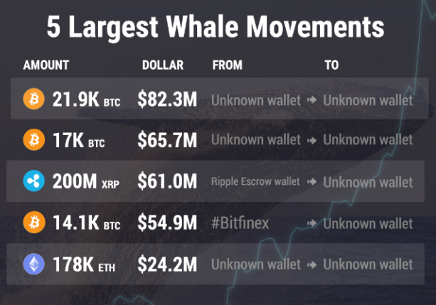 Trong tuần qua, cá voi BTC, cá mập XRP hay cá lòng tong ETH đều xuất hiện đủ cả!