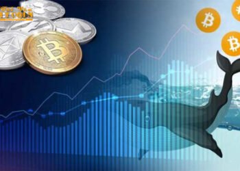 Đào coin – Theo dấu cá voi: 148 triệu USD giá trị Bitcoin vừa được chuyển đi chưa rõ lý do?