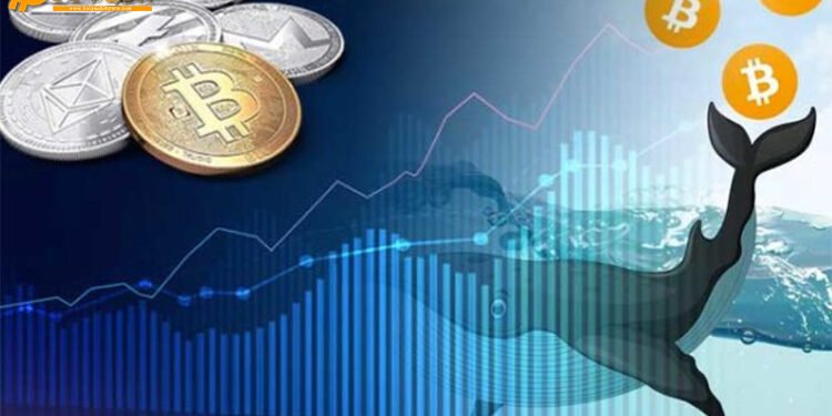 Đào coin – Theo dấu cá voi: 148 triệu USD giá trị Bitcoin vừa được chuyển đi chưa rõ lý do?