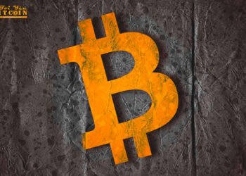 Đào coin – Bitcoin và định giá $10.000 một năm về trước – Liệu lịch sử có lặp lại?