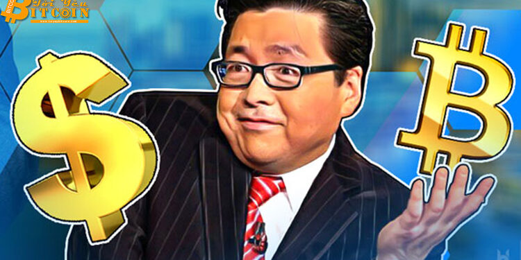 Đào coin – Tom Lee: Bitcoin sẽ tăng vọt vào cuối tuần này khi Fed cắt giảm lãi suất
