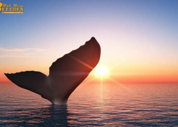 Đào coin – Cá voi Bitcoin chuyển hơn 468 triệu USD với mức phí cực thấp