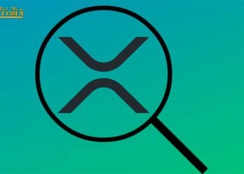 Đào coin – Những lý do khiến giá XRP chưa thể tăng mà fan của đồng coin này nên biết?