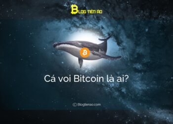 Kiến thức – Cá voi Bitcoin là ai? Cá voi thao túng thị trường như thế nào?