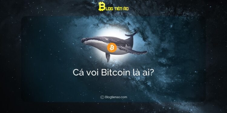 Kiến thức – Cá voi Bitcoin là ai? Cá voi thao túng thị trường như thế nào?