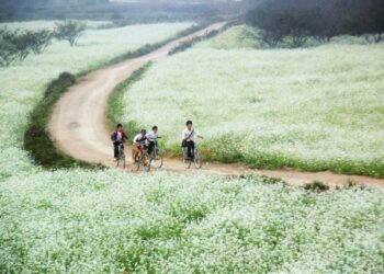 Kiến thức – Chúng ta đang ở đâu trên con đường đầu tư Cryptocurrency