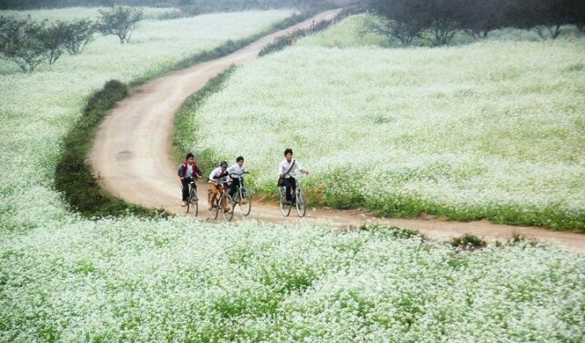 Kiến thức – Chúng ta đang ở đâu trên con đường đầu tư Cryptocurrency