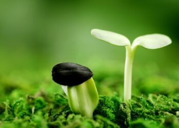 Kiến thức – Đầu tư tiền điện tử cho người có ít thời gian