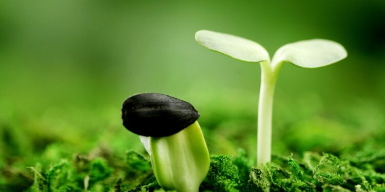 Kiến thức – Đầu tư tiền điện tử cho người có ít thời gian