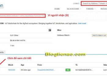 TXID (Txhash hay Transaction hash) là gì? Cách kiểm tra (check) Txid giao dịch của Coin bất kỳ