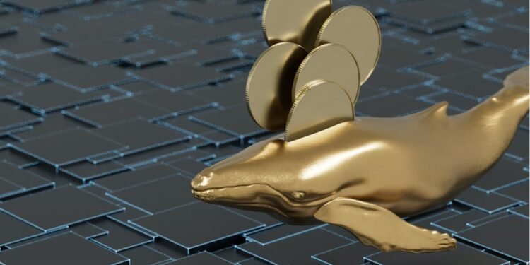 Tin tức coin – Cá voi chuyển hơn 3k tỷ SHIB khi dự án chuẩn bị ra mắt bản nâng cấp