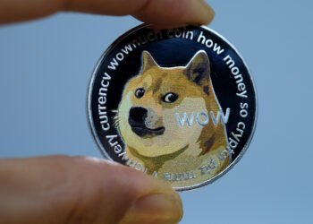 Tin tức coin – Dogecoin hiện là tiền điện tử được nắm giữ nhiều nhất trên CoinSwitch của Ấn Độ