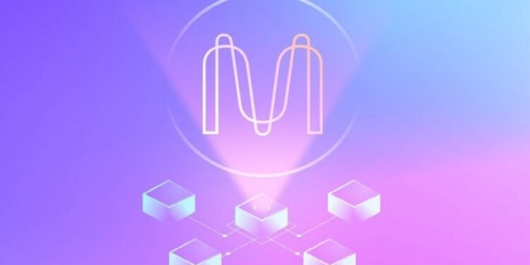 Tin tức coin – Mina, MATIC trở nên nổi bật khi ZK bắt đầu được chú ý nhiều hơn