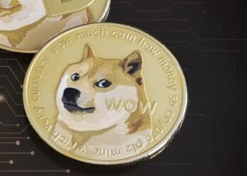 Tin tức coin – Một địa chỉ Dogecoin vừa tỉnh giấc sau 9 năm ngủ say