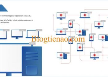 Node là gì? Kiến thức cần biết về Node của Bitcoin và Blockchain