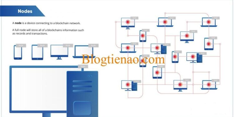 Node là gì? Kiến thức cần biết về Node của Bitcoin và Blockchain