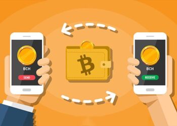 Top ví Bitcoin Cash lưu trữ tốt nhất