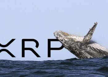Tin tức coin – Các cá voi di chuyển hàng trăm triệu đô XRP trong 24h qua