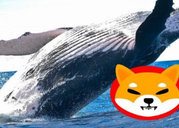 Tin tức coin – Một cá voi di chuyển hơn 28 triệu đô Shiba Inu