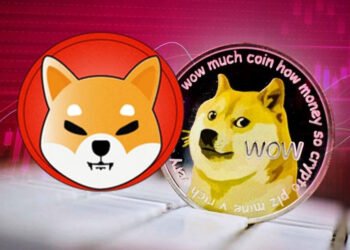 Tin tức coin – 63% người nắm giữ Dogecoin đang có lãi, trong khi phần lớn người nắm giữ Shiba Inu đang chịu lỗ