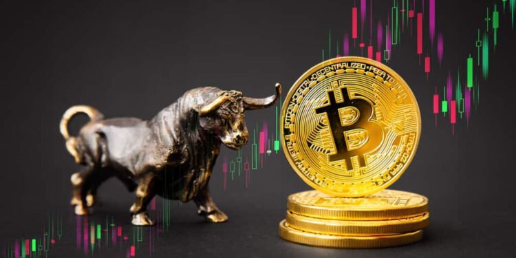 Tin tức coin – Quỹ đầu Pantera Capital: “Chúng ta đang ở trong chu kỳ tăng giá của thị trường tiền điện tử”