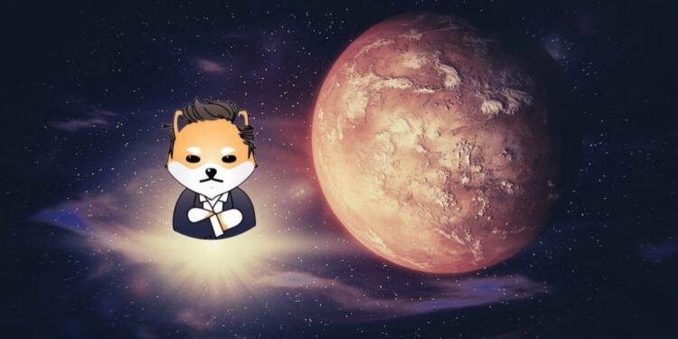 Tin tức coin – Đối thủ của Shiba Inu và Dogecoin lặng lẽ tăng 50% chỉ sau một tháng