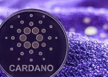 Tin tức coin – Khối lượng giao dịch Cardano tăng lên 23 tỷ ADA