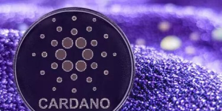Tin tức coin – Khối lượng giao dịch Cardano tăng lên 23 tỷ ADA