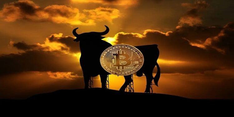 Tin tức coin – Phí giao dịch bitcoin đạt mức cao nhất kể từ tháng 11 năm 2022