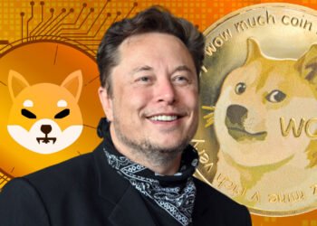 Tin tức coin – DOGE và Floki ‘dựng cột’ nhờ tweet của Elon Musk