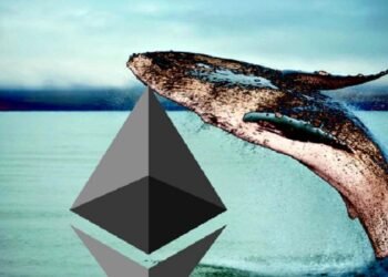 Tin tức coin – Cá voi Ethereum cổ đại thức sau 5 năm, di chuyển hàng triệu đô la