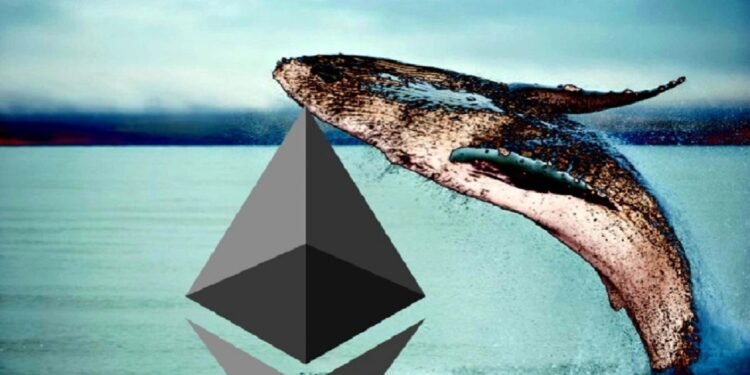 Tin tức coin – Cá voi Ethereum cổ đại thức sau 5 năm, di chuyển hàng triệu đô la