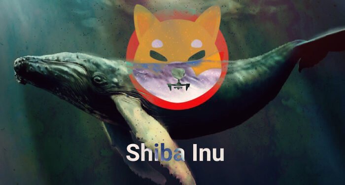 Tin tức coin – Cá voi Shiba Inu chuyển gần 92 tỷ SHIB sang sàn giao dịch Indonesia