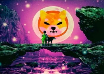 Tin tức coin – Shiba Inu và Floki Inu đã tăng 520% ​​trong năm nay trở thành hai đồng tiền xu hướng hàng đầu trên Binance