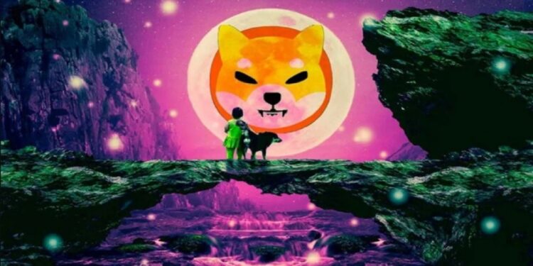 Tin tức coin – Shiba Inu và Floki Inu đã tăng 520% ​​trong năm nay trở thành hai đồng tiền xu hướng hàng đầu trên Binance