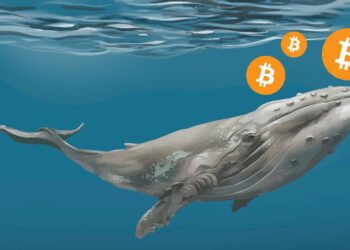 Tin tức coin – Số lượng cá voi Bitcoin giảm xuống mức thấp nhất kể từ năm 2019