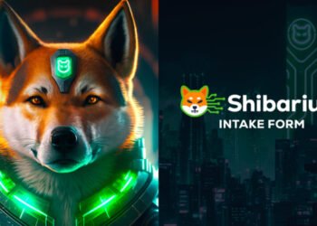 Tin tức coin – Shiba Inu ra mắt Shibarium Portal, cảnh báo cộng đồng tránh xa các token Beta