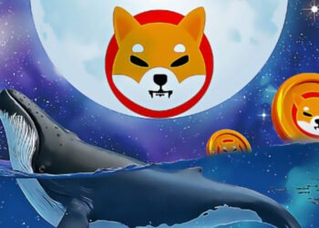 Tin tức coin – Một cá voi tích lũy 19 nghìn tỷ Shiba Inu và 4 Altcoin tiềm năng khác