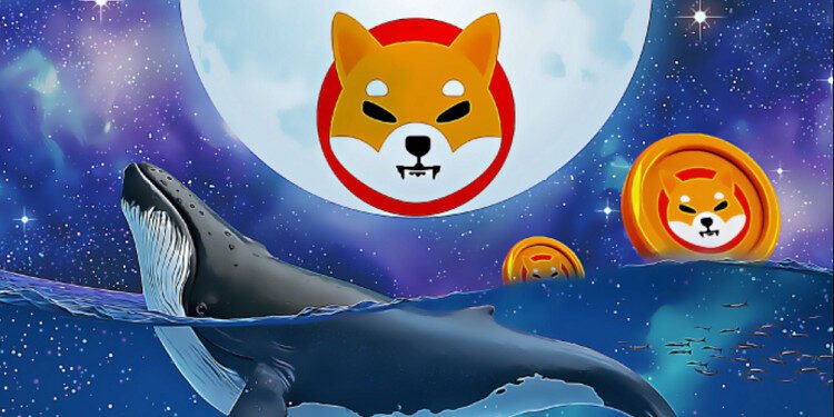 Tin tức coin – Một cá voi tích lũy 19 nghìn tỷ Shiba Inu và 4 Altcoin tiềm năng khác