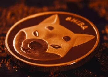 Tin tức coin – Công ty du lịch Mỹ chấp nhận SHIB trong thanh toán