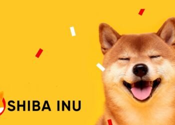 Tin tức coin – Sàn giao dịch hàng đầu Nhật Bản niêm yết SHIB