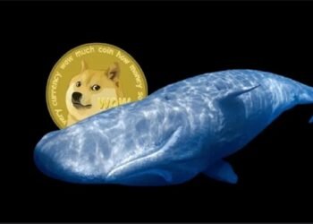 Tin tức coin – Cá mập liên tục di chuyển DOGE, tuần mới của Dogecoin sẽ ra sao?