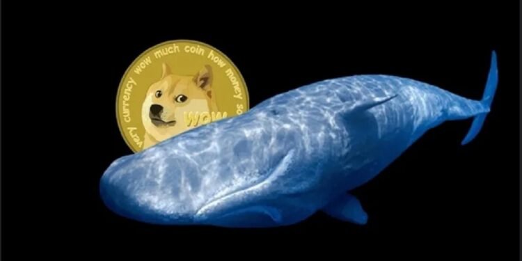 Tin tức coin – Cá mập liên tục di chuyển DOGE, tuần mới của Dogecoin sẽ ra sao?