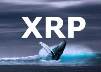 Tin tức coin – Cá voi di chuyển số lượng lớn XRP