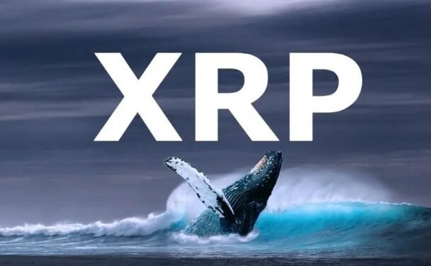 Tin tức coin – Cá voi di chuyển số lượng lớn XRP