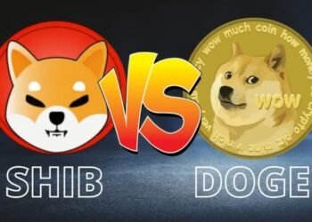 Tin tức coin – Khảo sát: Nếu bạn có 1.000 USD, bạn sẽ mua Shiba Inu hay Dogecoin?